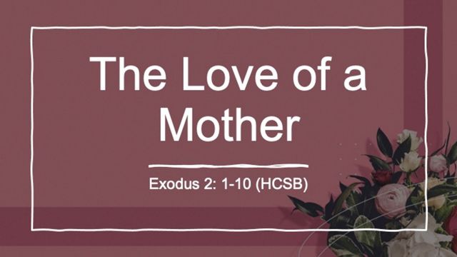 The Love Of A Mother 