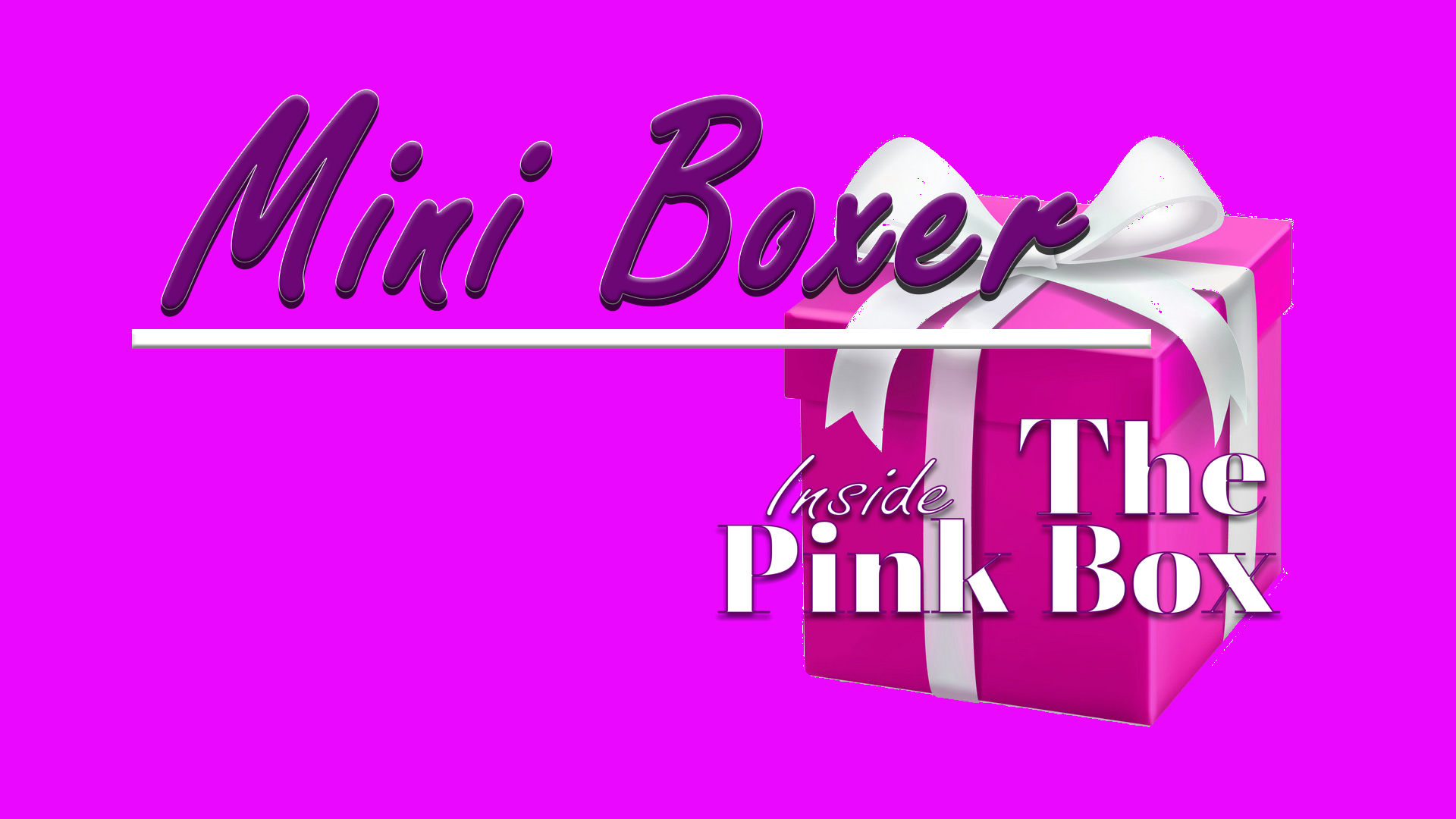 Inside The Pink Box Mini Boxer
