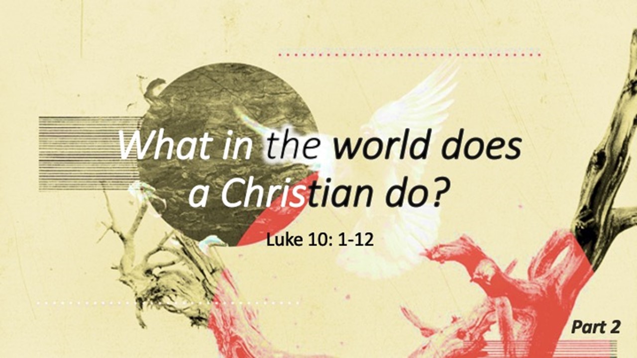 What In The World Does A Christian Do? Part 2 