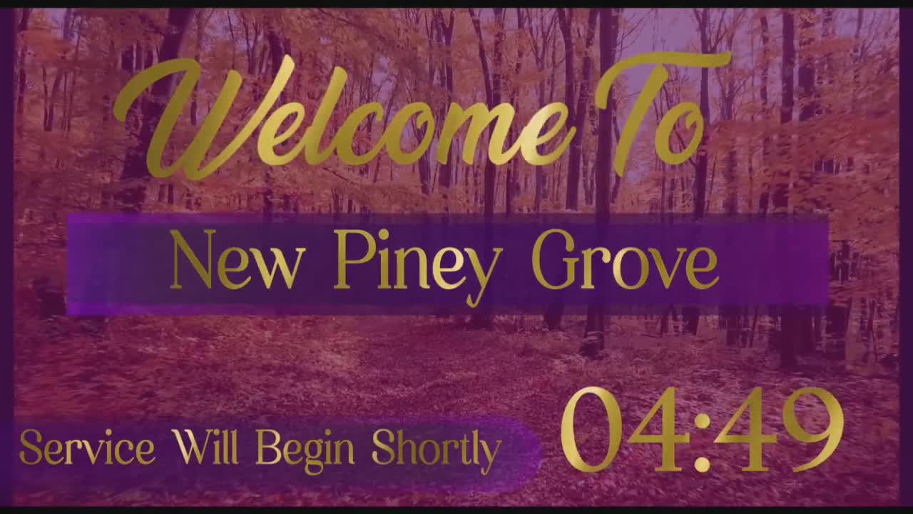 New Piney Grove Missionary Baptist Church  on 29-Feb-24-00:15:14