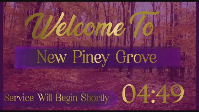 New Piney Grove Missionary Baptist Church  on 29-Feb-24-00:15:14