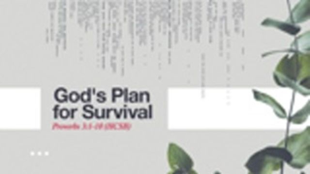 God's Plan For Survival 