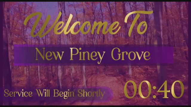 New Piney Grove Missionary Baptist Church  on 05-Nov-23-14:49:28